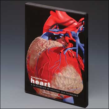 Heart8023CD.jpg